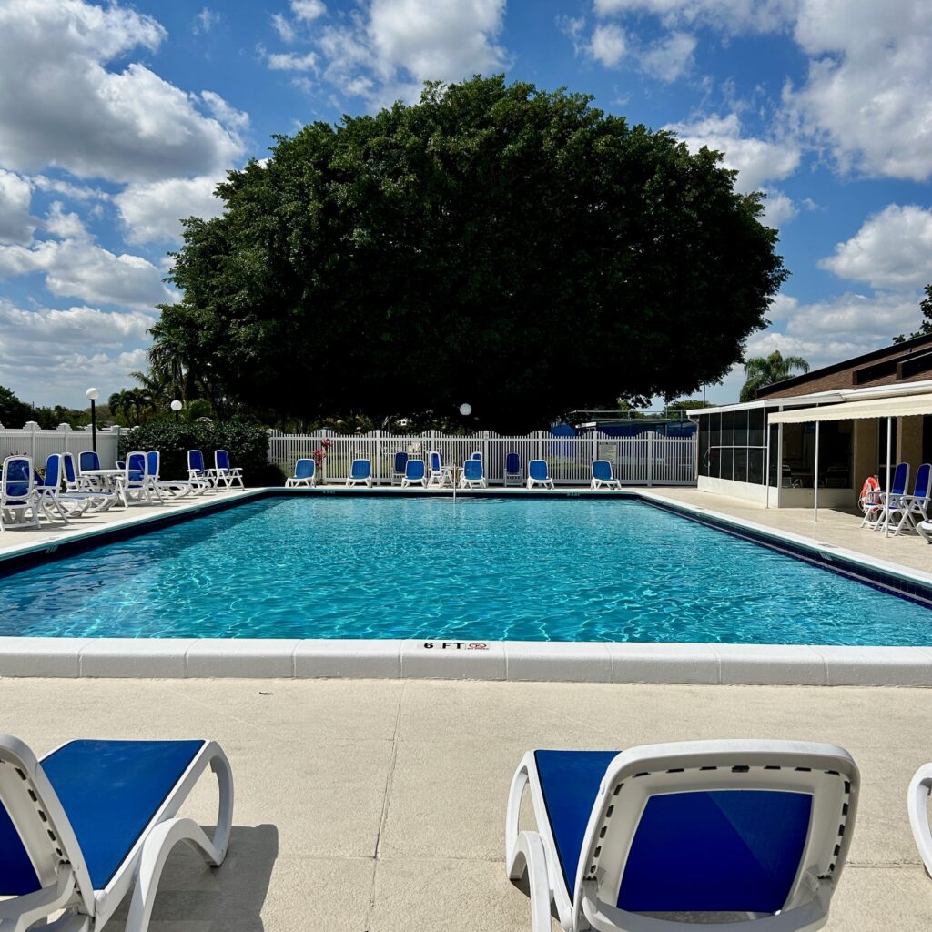 Piscine arbre